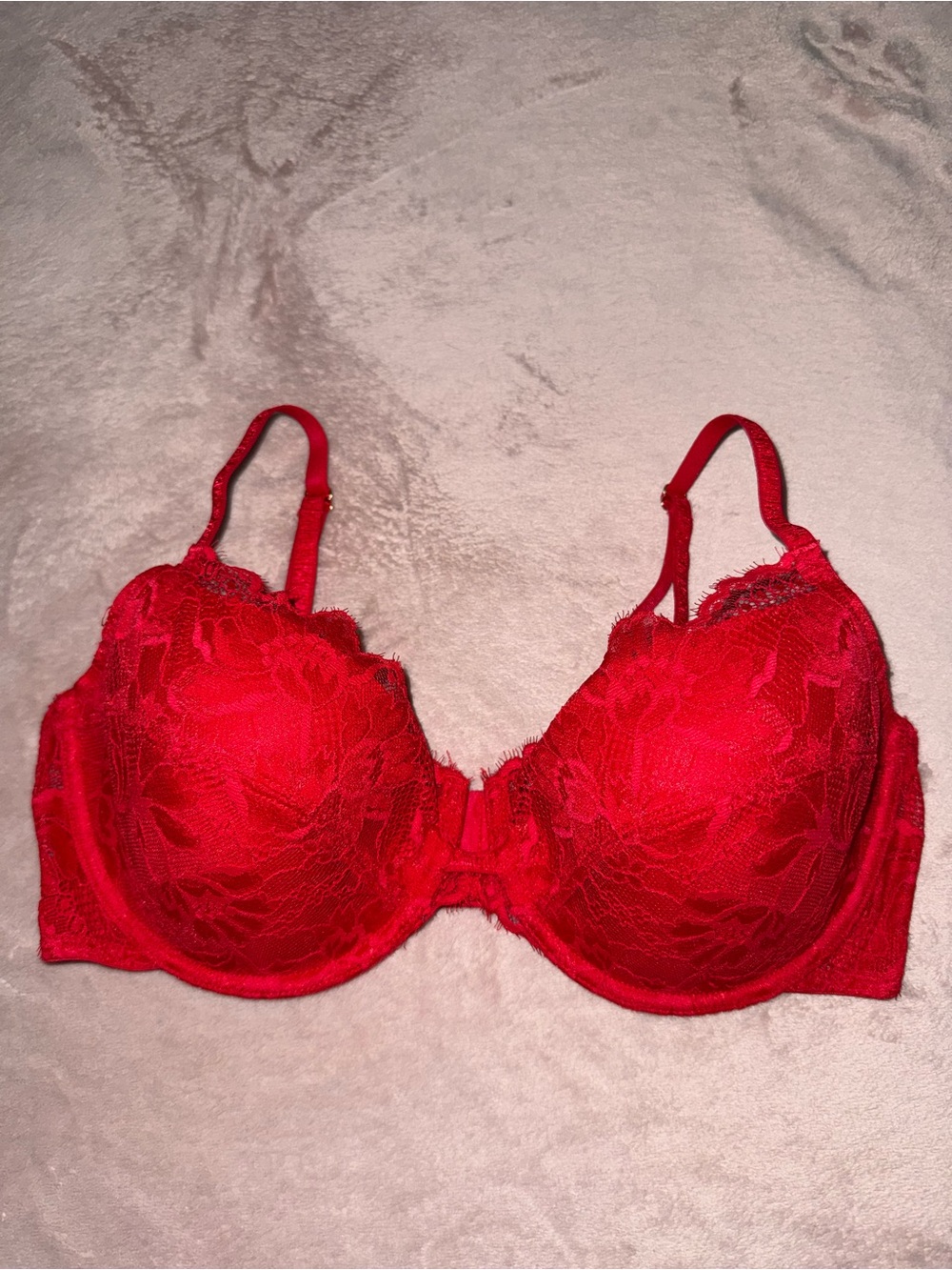 Natori lace bra size 36D